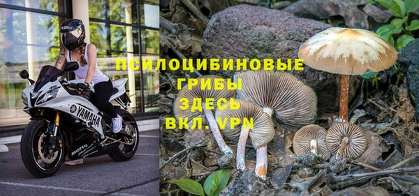 MDMA Premium VHQ Куйбышев